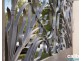 1 Myagah Road, Ashgrove QLD 4060