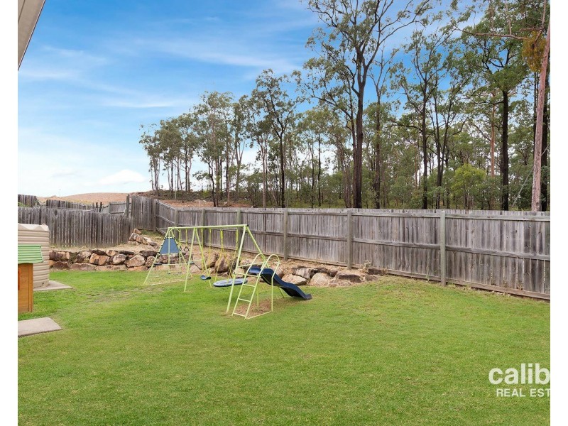 14 Guerin Court, Collingwood Park QLD 4301