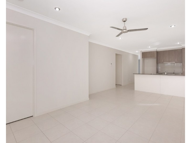 38 Walter Williams Crescent, Redbank Plains QLD 4301