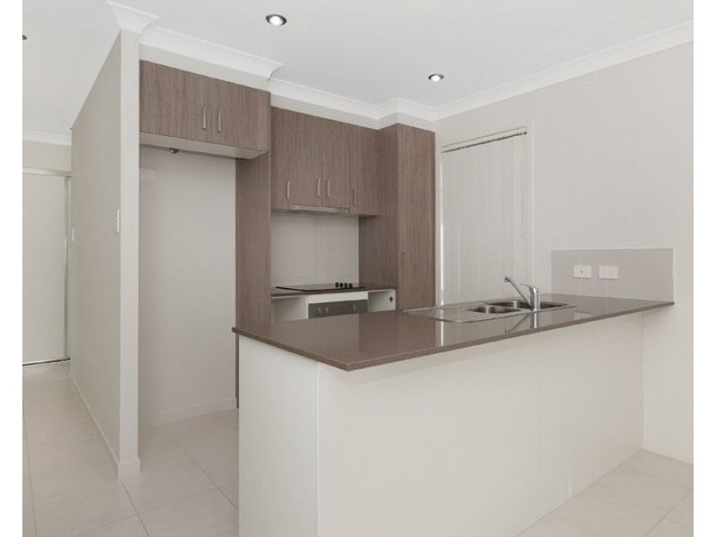 38 Walter Williams Crescent, Redbank Plains QLD 4301