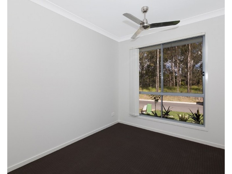 38 Walter Williams Crescent, Redbank Plains QLD 4301
