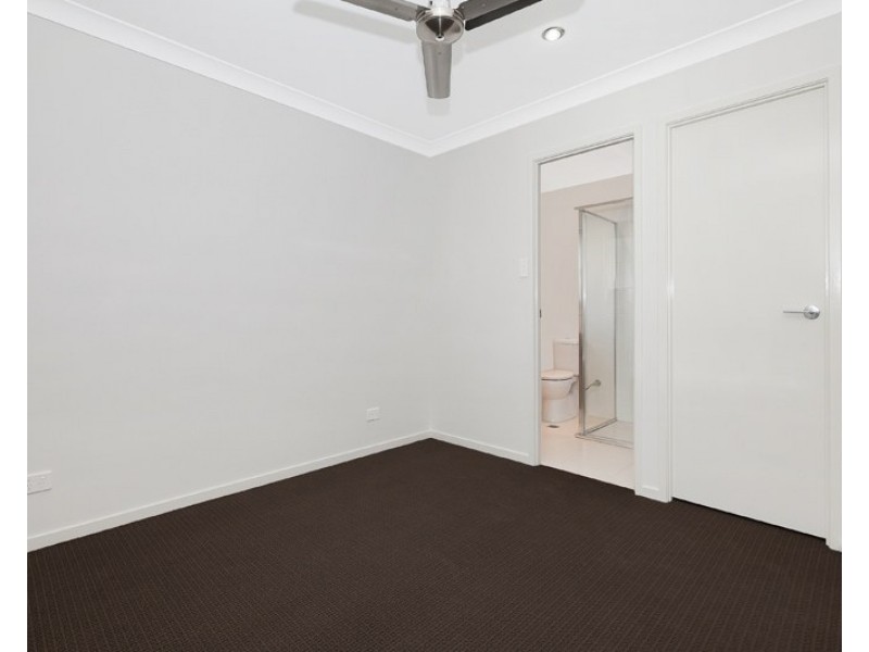 38 Walter Williams Crescent, Redbank Plains QLD 4301