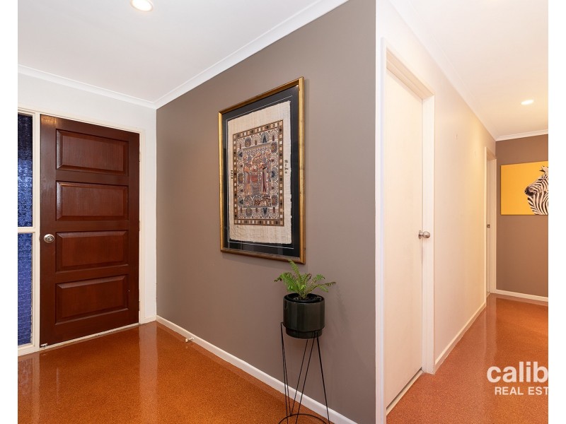 11 Acacia Place, Camira QLD 4300