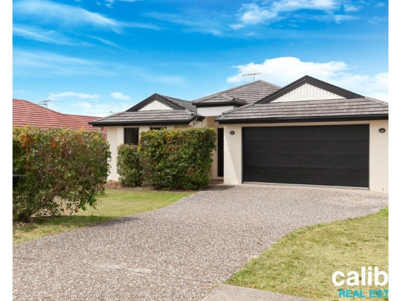 19 Cobbin Circuit, Redbank Plains QLD 4301