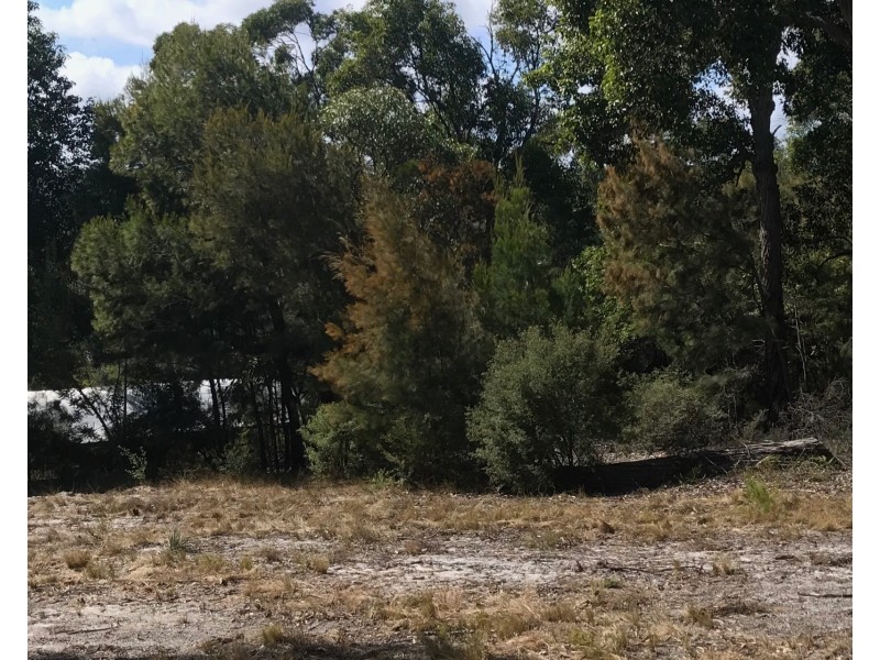 Lot 8, Kingfisher Bay, Fraser Island QLD 4581