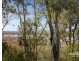 42 Melaleuca Crescent, Rothwell QLD 4022