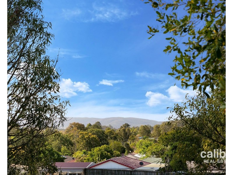 29 Cobbin Circuit, Redbank Plains QLD 4301