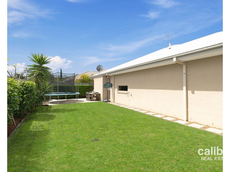 12 Elkhorn Court, North Lakes QLD 4509