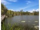 12 Elkhorn Court, North Lakes QLD 4509