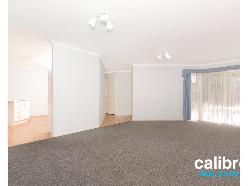 19 White Street, Graceville QLD 4075