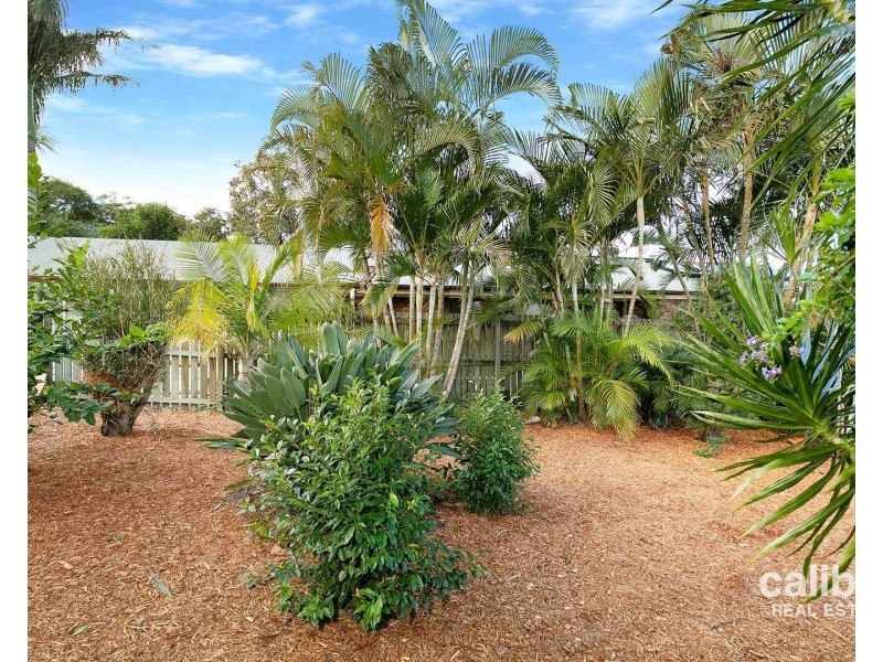 5 Vista Court, Mango Hill QLD 4509