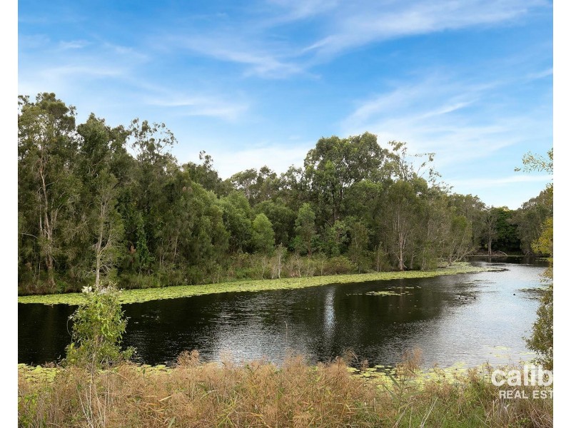 3 Winifred Street, Mango Hill QLD 4509