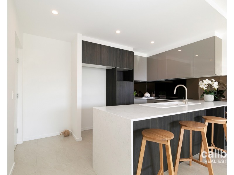 15 Trout Street, Ashgrove QLD 4060