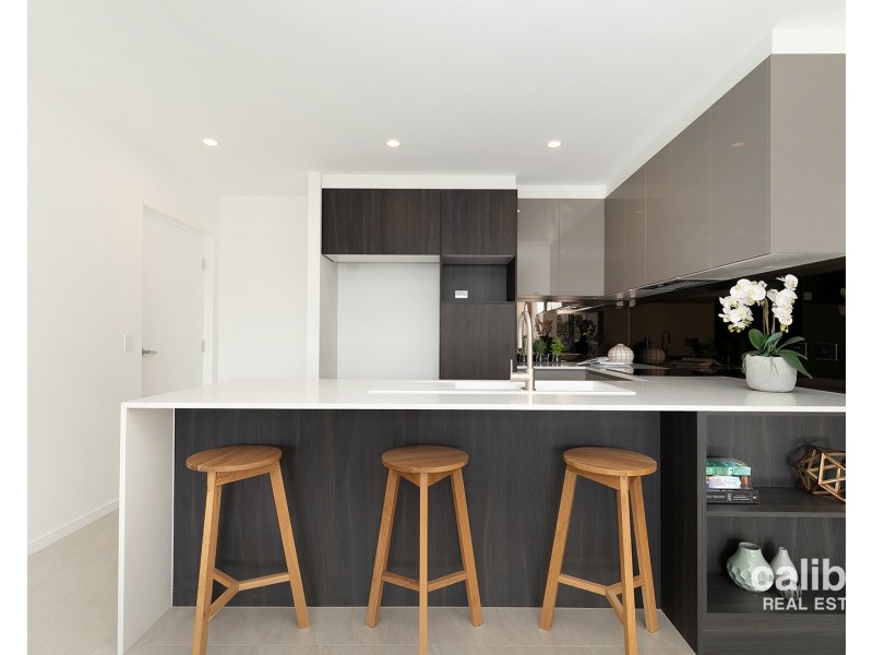 15 Trout Street, Ashgrove QLD 4060