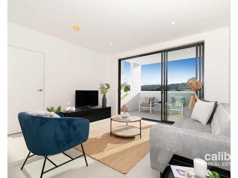 15 Trout Street, Ashgrove QLD 4060