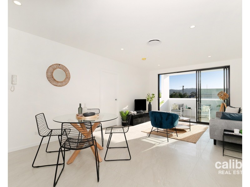 15 Trout Street, Ashgrove QLD 4060