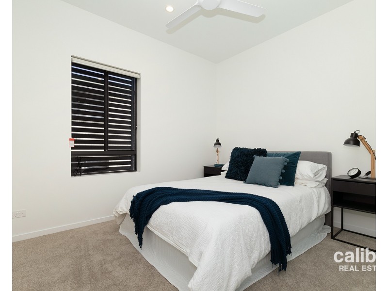 15 Trout Street, Ashgrove QLD 4060
