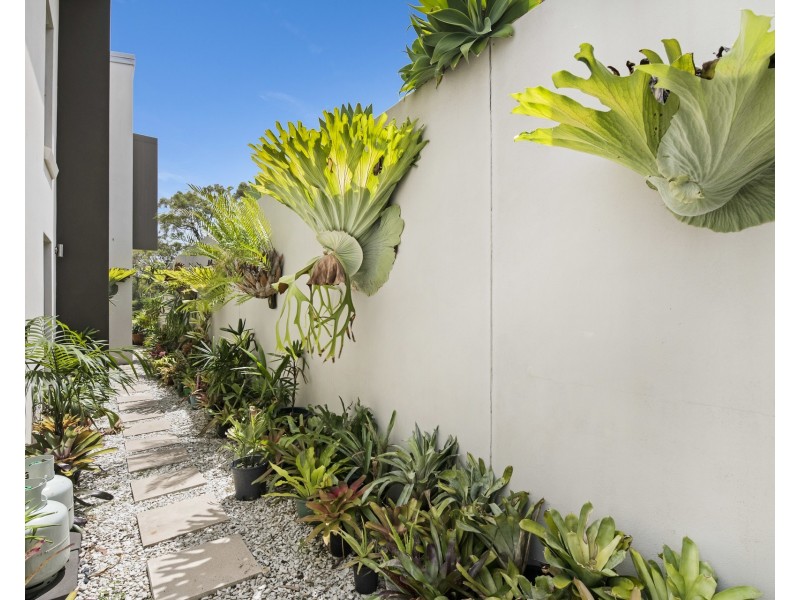 House 2/35 Tullylease Place, Chermside West QLD 4032