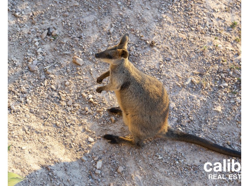 House 2/35 Tullylease Place, Chermside West QLD 4032