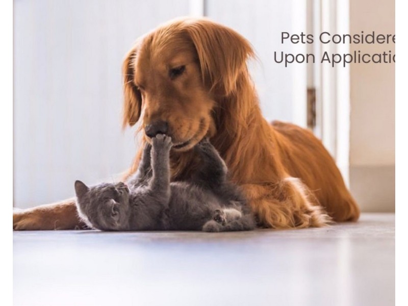 3B Woodfield Boulevard, Caringbah NSW 2229