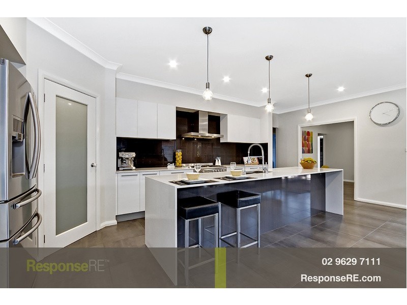 17 Mosaic Avenue, The Ponds NSW 2769