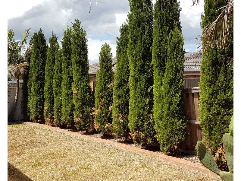 25 Frangipani Avenue, Glenwood NSW 2768