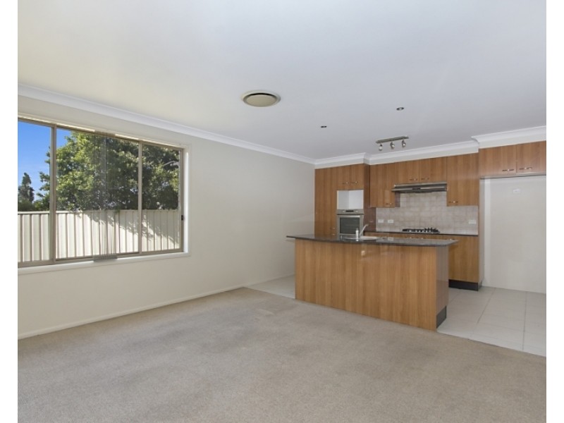 115 Tamarind Drive, Acacia Gardens NSW 2763