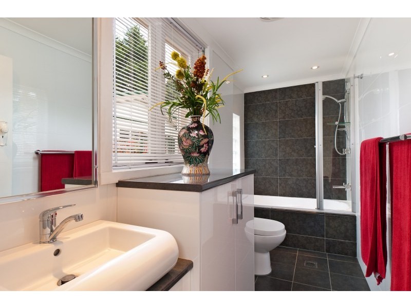 17 Brighton Street, Croydon NSW 2132