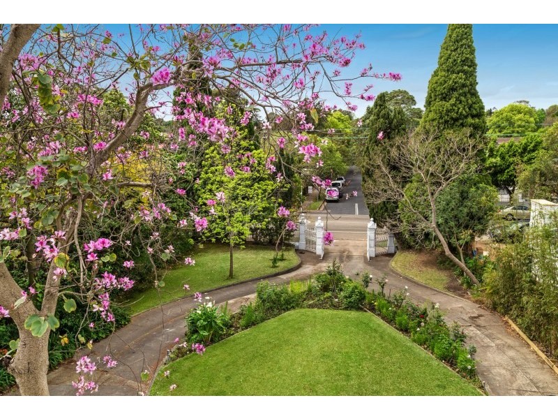 81 Homebush Road, Strathfield NSW 2135