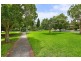 53 Beresford Road, Strathfield NSW 2135