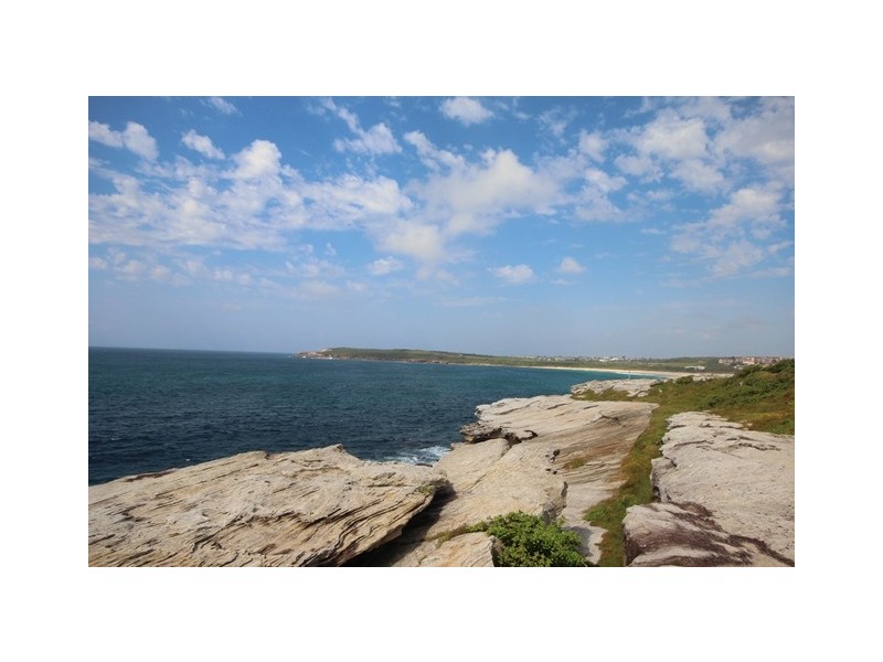 54 Torrington Road, Maroubra NSW 2035