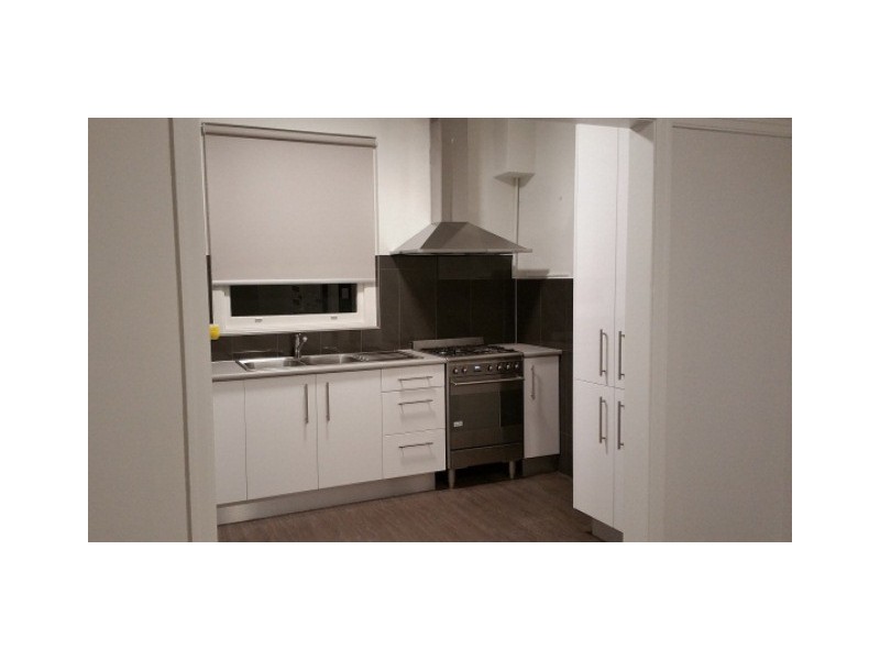 1/133d Parramatta Road, Concord NSW 2137