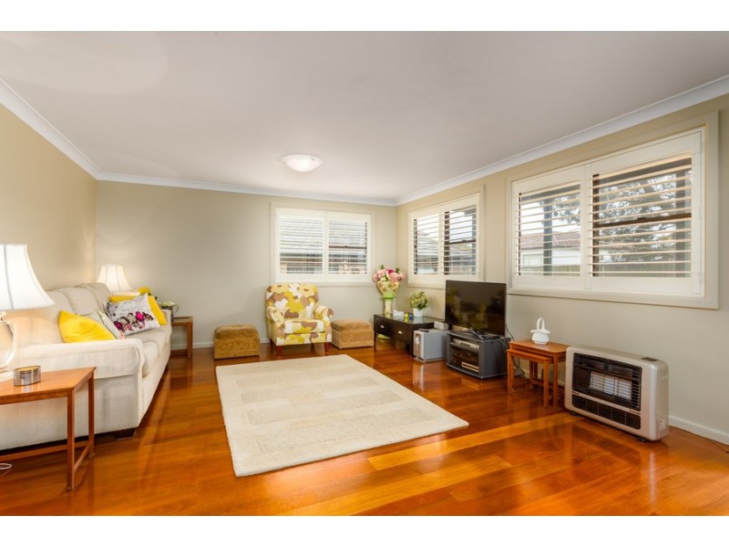 29 Neptune Street, Revesby NSW 2212