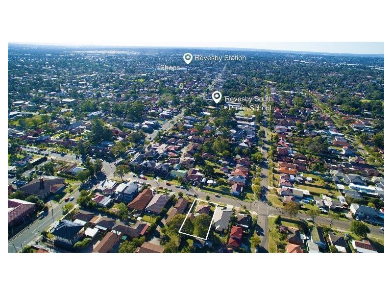 29 Neptune Street, Revesby NSW 2212