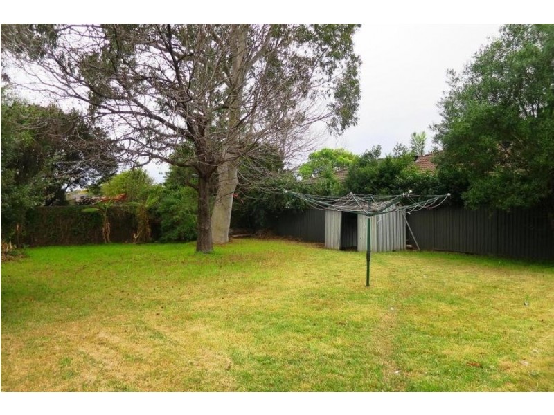 116 Barker Road, Strathfield NSW 2135