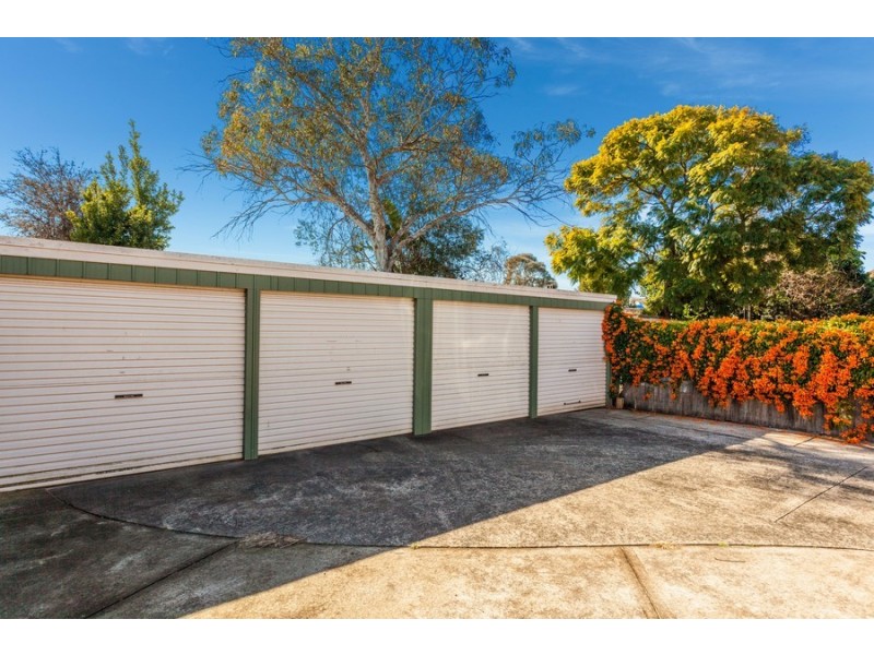 53 Thomas Street, Croydon NSW 2132