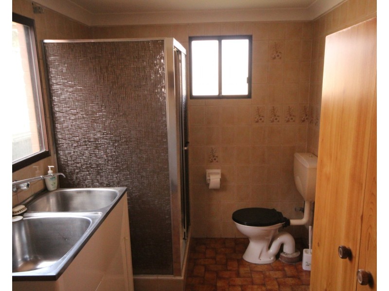 20 Frances Avenue, Strathfield South NSW 2136