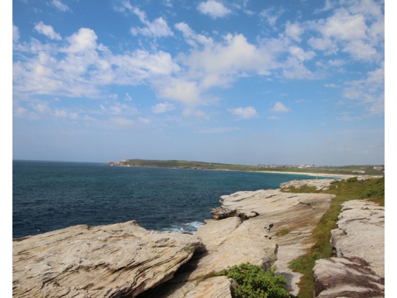 54 Torrington Road, Maroubra NSW 2035