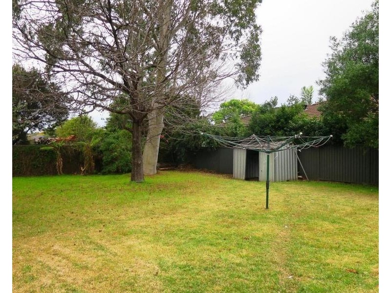 116 Barker Road, Strathfield NSW 2135