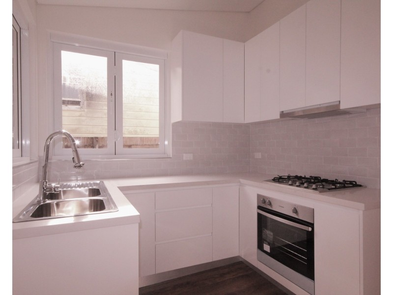 17 Carlyle Street, Enfield NSW 2136