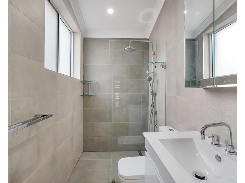 17 Carlyle Street, Enfield NSW 2136