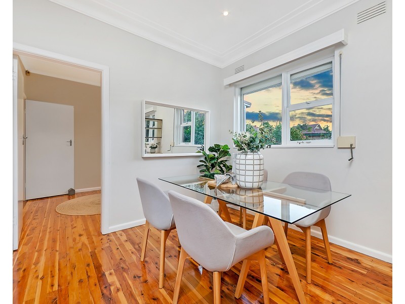 67 Greenhills Street, Croydon NSW 2132