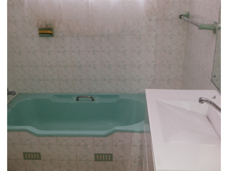 129 Croydon Street, Lakemba NSW 2195