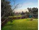 42 Harold Street, Mount Lewis NSW 2190