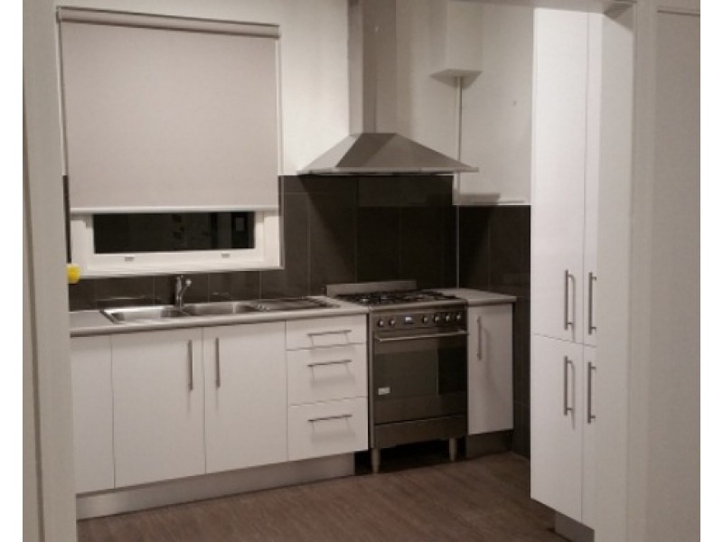 1/133d Parramatta Road, Concord NSW 2137