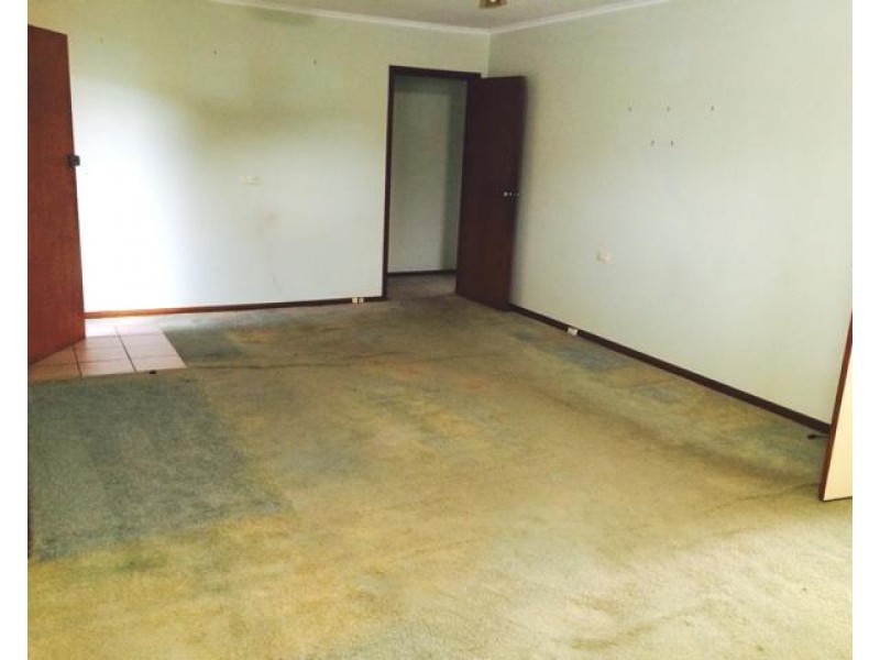 20 Heckenberg Avenue, Busby NSW 2168