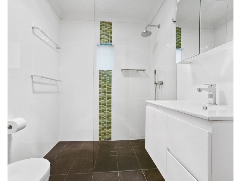 41 Floss Street, Hurlstone Park NSW 2193