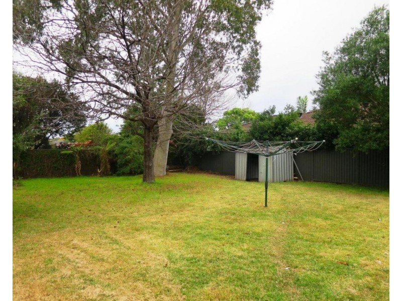 116 Barker Road, Strathfield NSW 2135