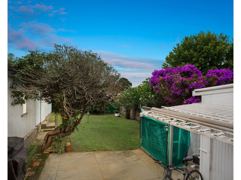 42 Armitree Street, Kingsgrove NSW 2208