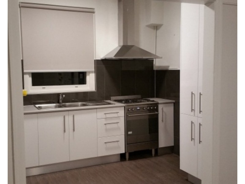 1/133d Parramatta Road, Concord NSW 2137